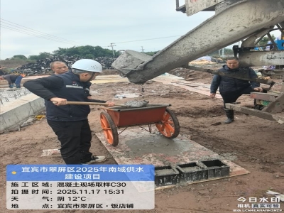 宜賓市翠屏區(qū)2025年高標(biāo)準(zhǔn)農(nóng)田建設(shè)項目