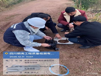 高縣2025年高標(biāo)準(zhǔn)農(nóng)田改造提升項目